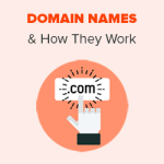 domain names