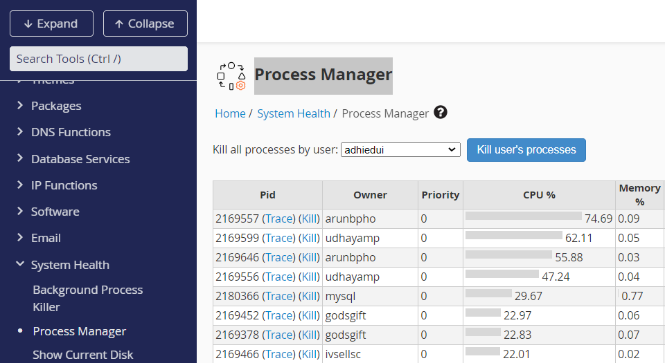 process manager